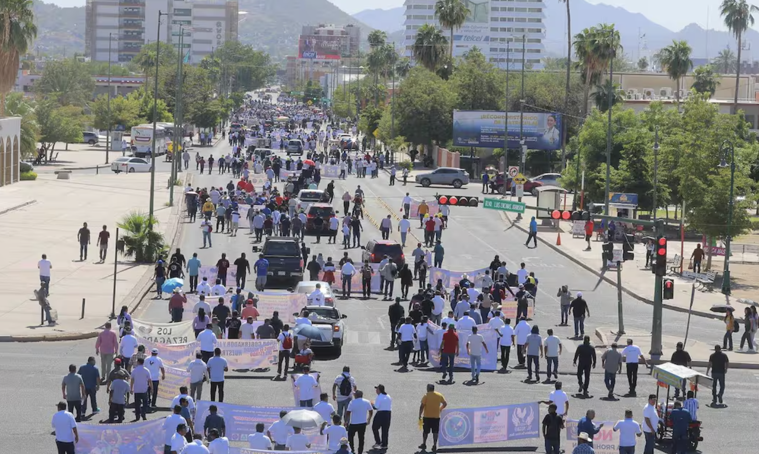 Mega Marcha contra la Ley de Protección Animal